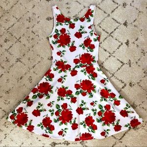 A-Line Rose Fit & Flare Dress